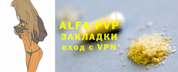 прущие грибы Покров