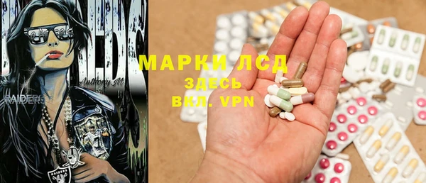 прущие грибы Покров