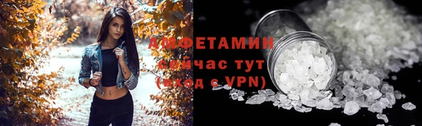 прущие грибы Покров