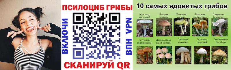 Галлюциногенные грибы MAGIC MUSHROOMS  дарнет шоп  Алатырь 